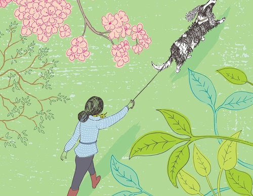 best illustrators worldwide