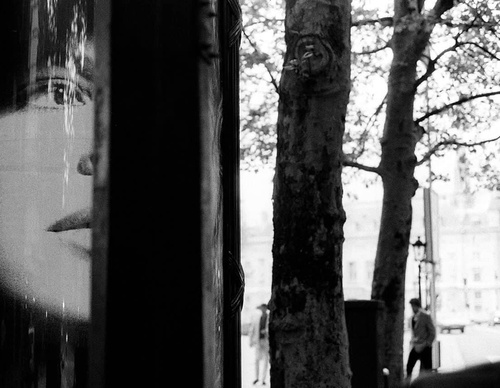 Gallery Of Photography By Cassio Vasconcellos - Brazil