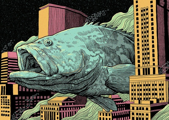 Gallery of Illustration & Graphic Design Works by Pedro Correa – Brazil