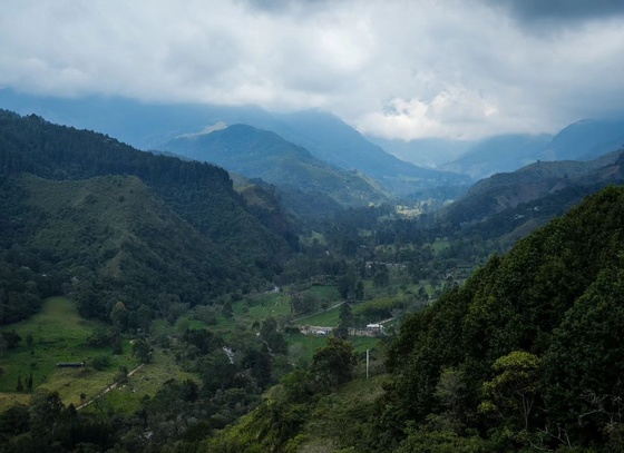 Juan Diego Cano