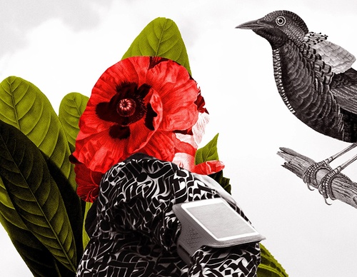 guillermo flores pacheco