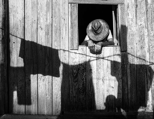 raul canibano