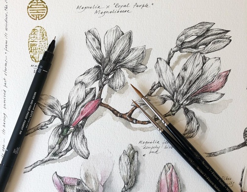 Gallery of Drawing by GiacoMina Ferrillo-Italy
