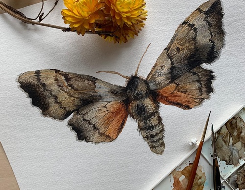 Gallery Of Painting By Rita Gould - United Kingdom
