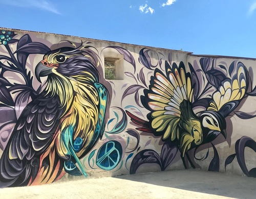 Gallery Of Street Art By Fio Silva - Argentina