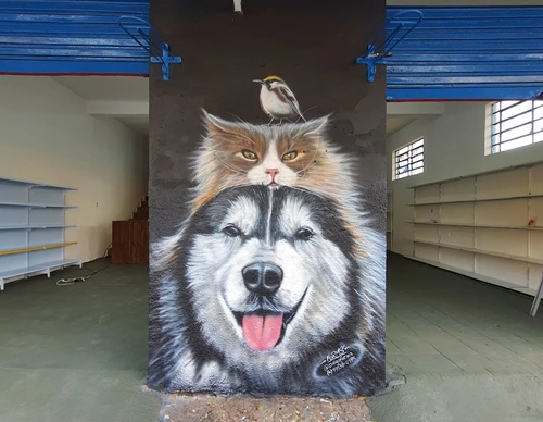 Gallery Of Street Art By Diego Forms - Brazil