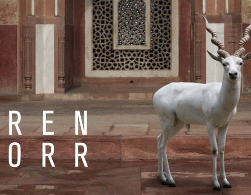 Karen Knorr | Transmigraciones