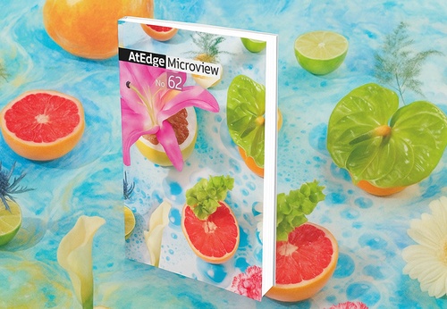 AtEdge Microview No. 62