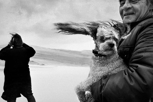 Gallery of Photography by Jean Gaumy – France