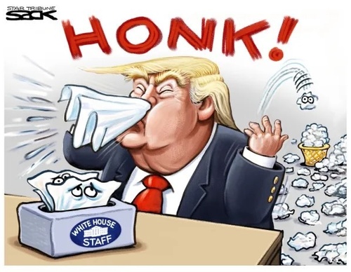 steve sack