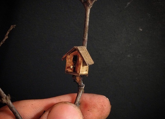 raphael truffi bortholuzzi brazil