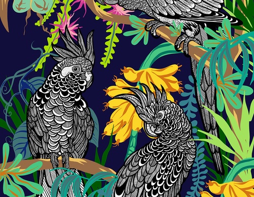 best illustrators