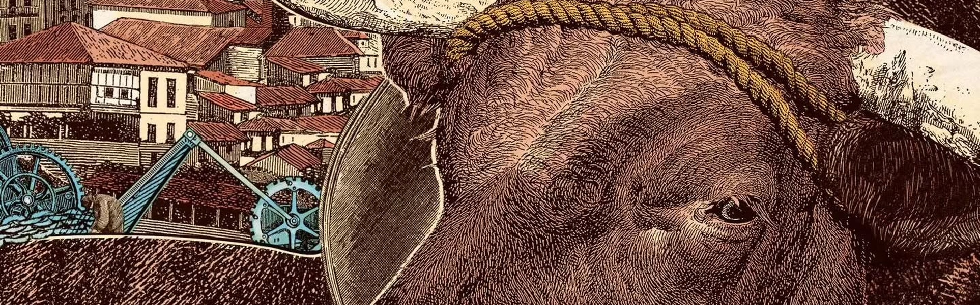 Galería de ilustraciones de Celsius Pictor - España