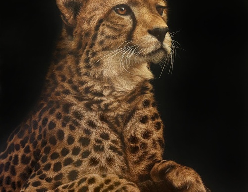 Galería de pintura realista de Annie Drew - Reino Unido