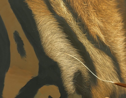 Galería de pintura realista de Annie Drew - Reino Unido