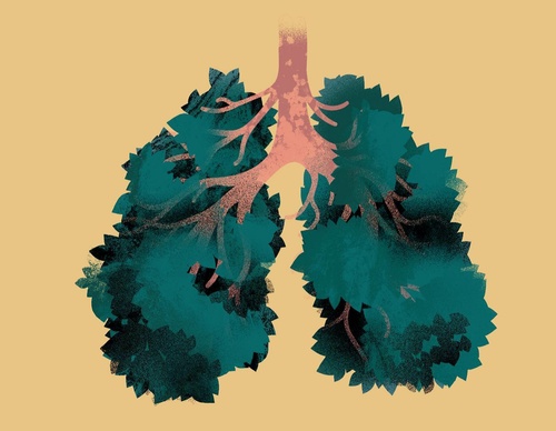 Gallery Of Illustration By Gustaf Öhrnell Hjalmars  -  Sweden