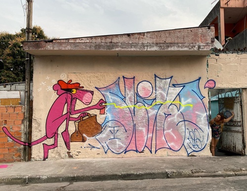 Gallery Of Street Art By Rafael Sliks - Brazil