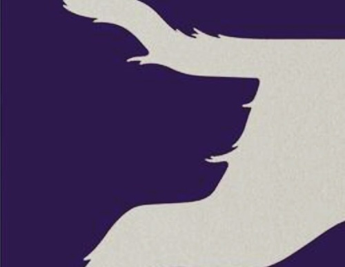 Gallery Of Illustration By Ouine Ditio - Denmark