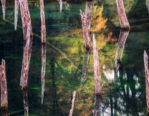 Gallery Of Photography By Rodrigo Viveros - Chile