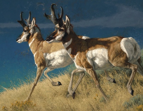 Gallery Of Painting By Greg Beecham - USA