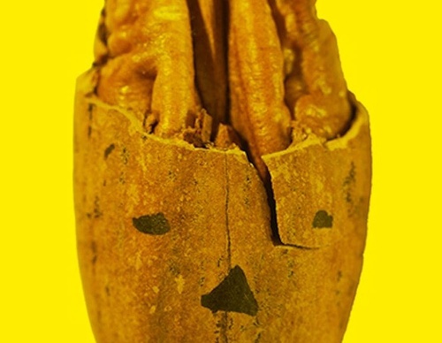 latin american posters