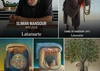 Sliman Mansour: The Artist Who Gave Palestine a Visual Memory