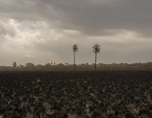 Galería de fotografía de Sebastián López Brach - Argentina