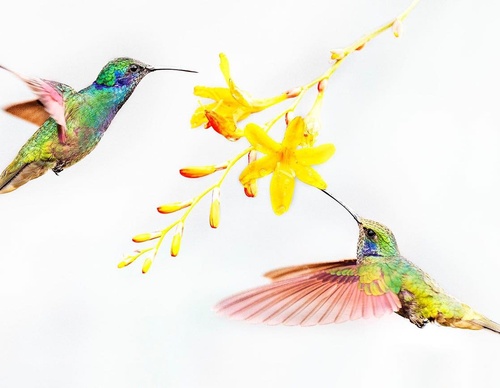 Galería De Fotografía De Ignacio Palacios - Bolivia