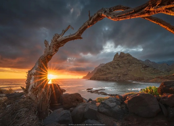 paolo gabriele maiero brazil