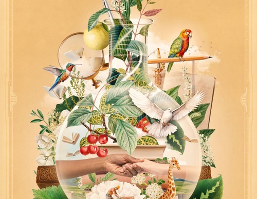 guillermo flores pacheco