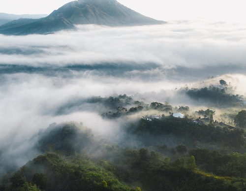 Galeria de fotografias de Long-Nong Huang - Alemanha