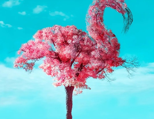 Galería de ilustraciones de Martijn Schrijver - Países Bajos