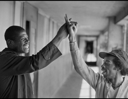 leonard freed