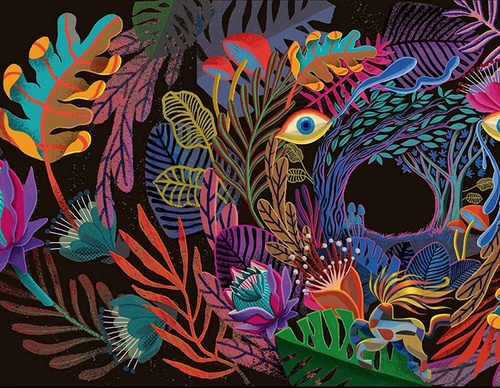 rogerio pedro