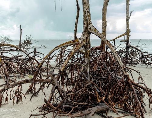 Gallery Of Photography By Norberto Kreutzer Fruhauf - Brazil
