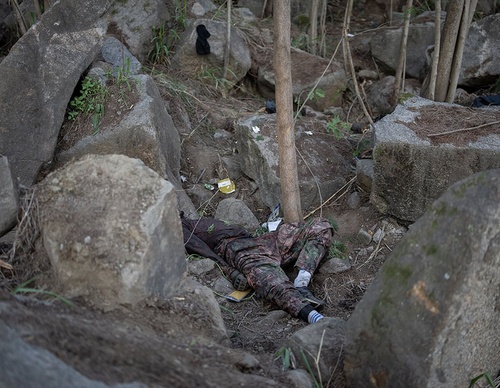 world press photo