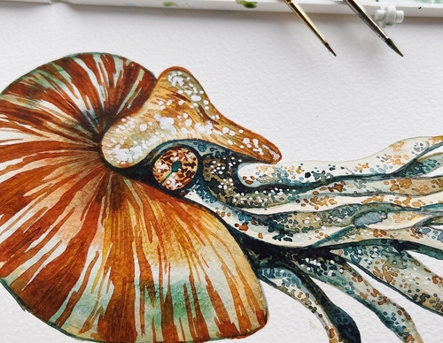 Gallery Of Painting By Rita Gould - United Kingdom