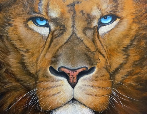 Gallery Of Painting By Emanuel Sansana - Brazil