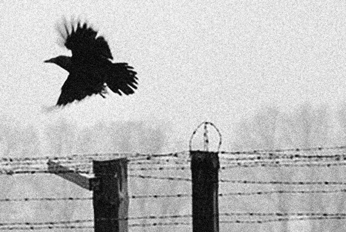 Gallery of Photography by Erich Hartmann – Germany
