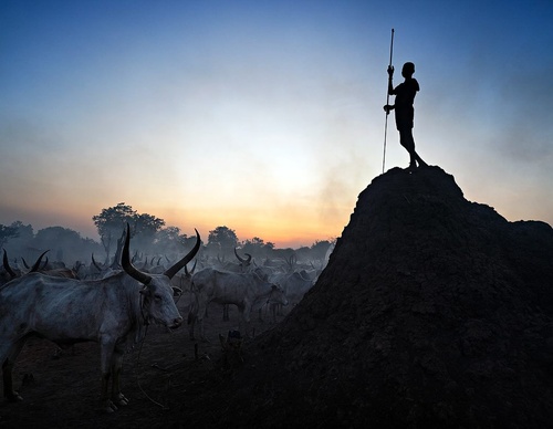 Galería de fotografía de Alessandro Bergamini - Italia