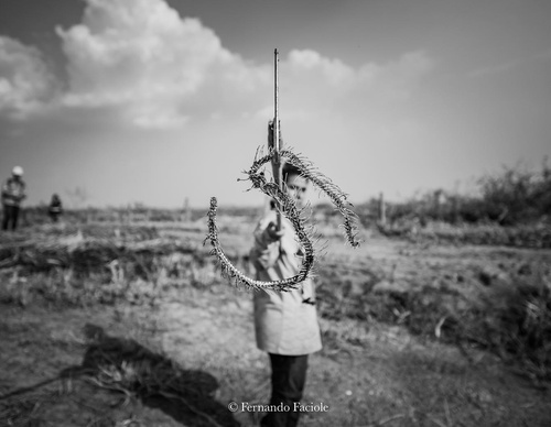 Gallery Of Photography By Fernando Faciole - Brazil