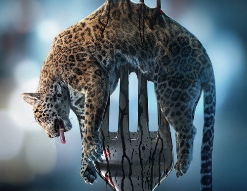 Gallery Of Illustration By Platinum Studio - Brazil