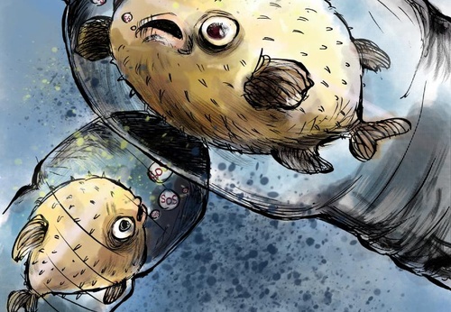 Socorro!  Milhares de animais estão presos em redes e contêineres de lixo de PVC, que são abundantes em nossos mares.