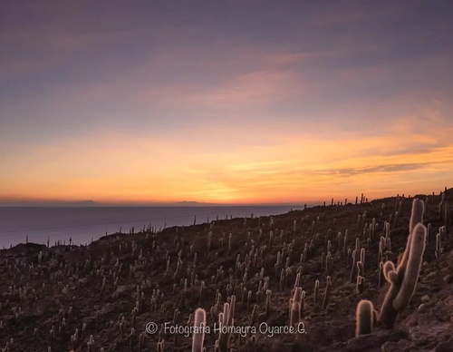 Gallery Of Photography By Homayra Oyarce G - Chile