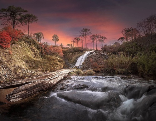 Gallery Of Photography By Jaime Garcés - Chile