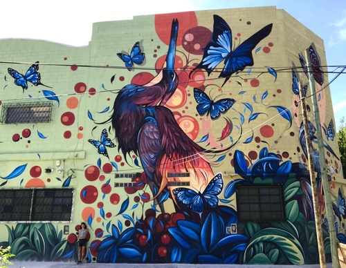Gallery Of Street Art By Fio Silva - Argentina
