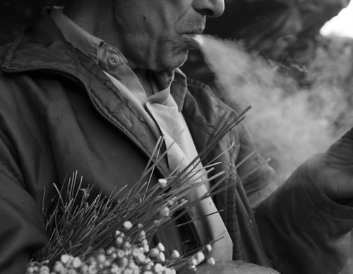 Gallery Of Photography By João Roberto Ripper - Brazil