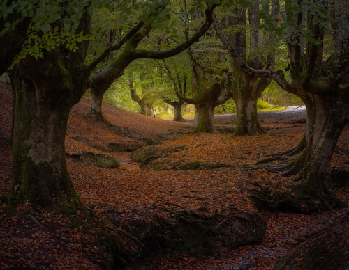 Galería de fotografía de Jorge Reinaldo - Portugal