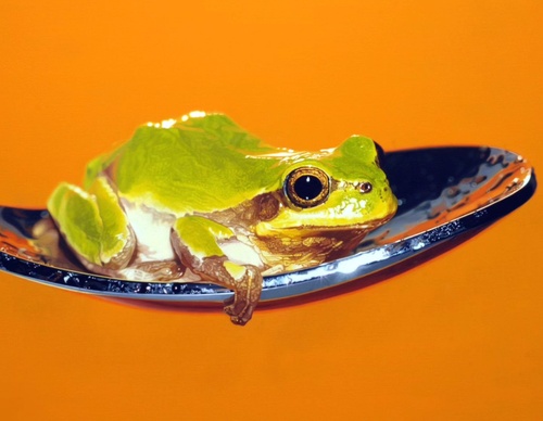 Gallery Of Realistic Painting By Young-sung Kim - South Korea