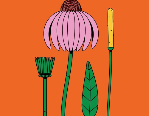 Gallery Of Illustration by Nora Gazzar- United Arab Emirates